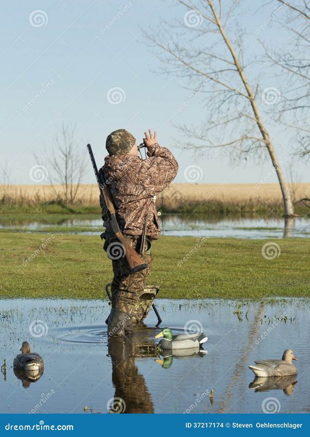 Duck Seekers : Le jeu de tir de Nolimit City avec symboles Scatter, cascades, multiplicateurs et gains explosifs